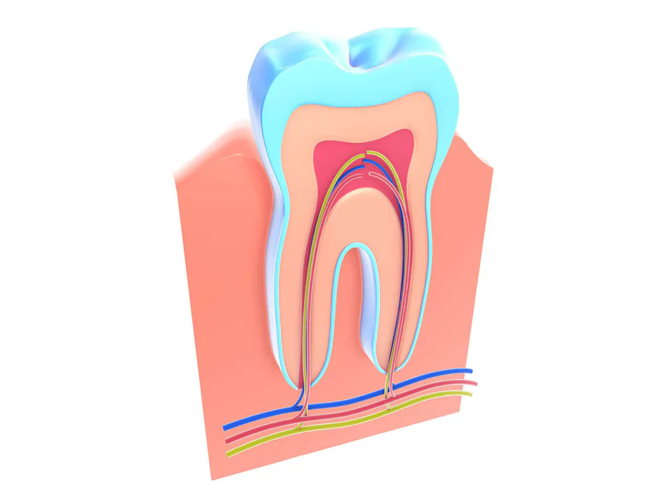 Root Canal Treatments in Redmond, OR at Pacific Family Dental